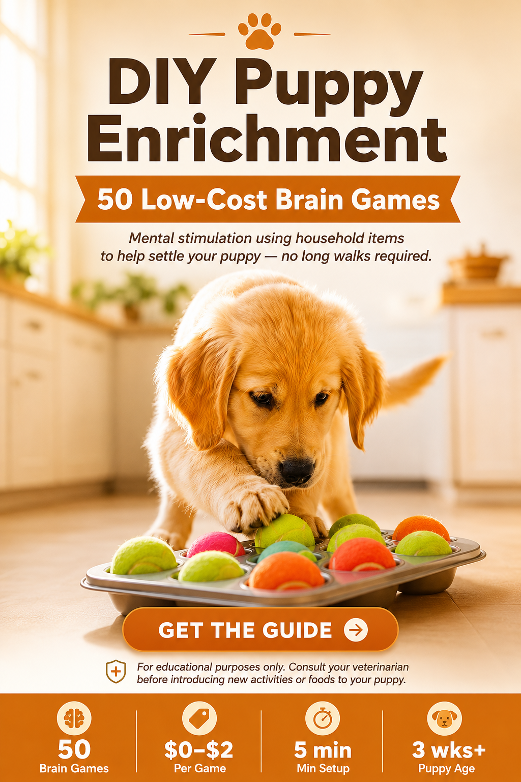 DIY Puppy Enrichment: 50 Low-Cost Brain Games
