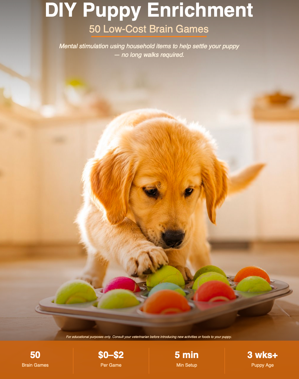 DIY Puppy Enrichment: 50 Low-Cost Brain Games